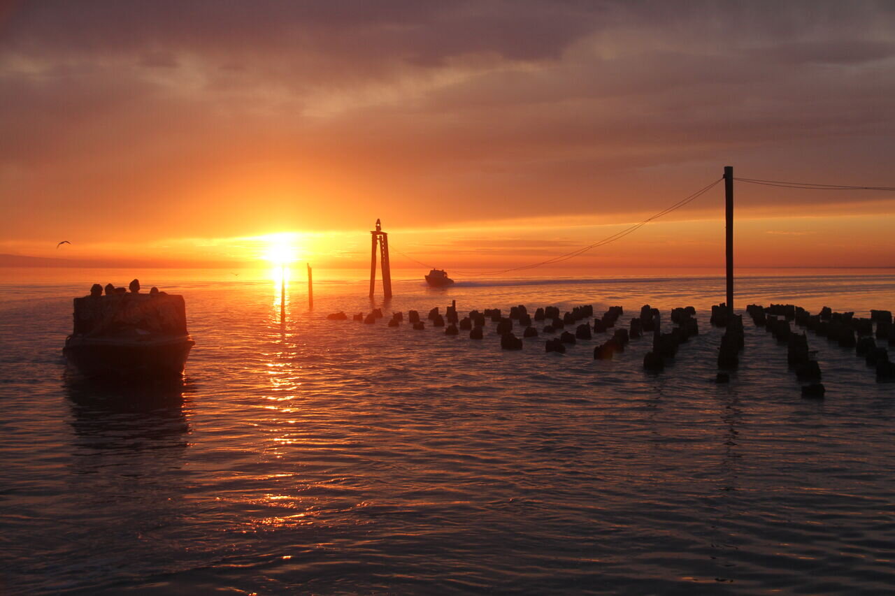 تمدید مجوز ارزیابی زیستمحیطی طرح طبیعتگردی آشوراده