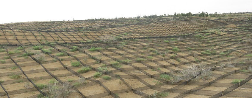 تنها ۳۵ درصد عرصههای بیابانی خوزستان کنترل شده است