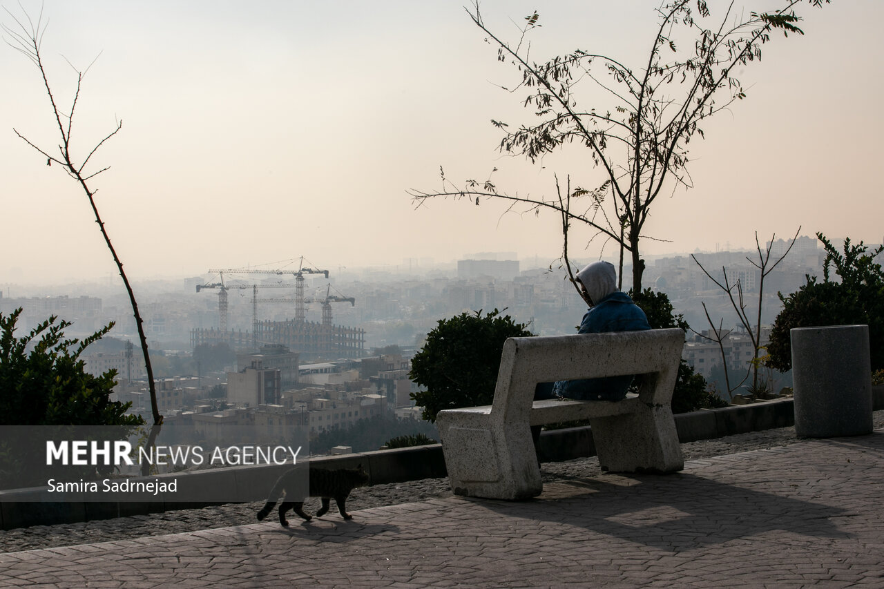 تهران در چنگال آلودگی؛چرا برخی ادارات مصوبات اضطرار را نادیده می‌گیرند