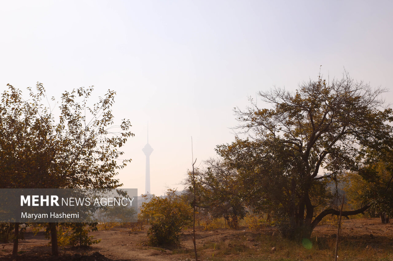 تهران هفته آینده گرم می شود