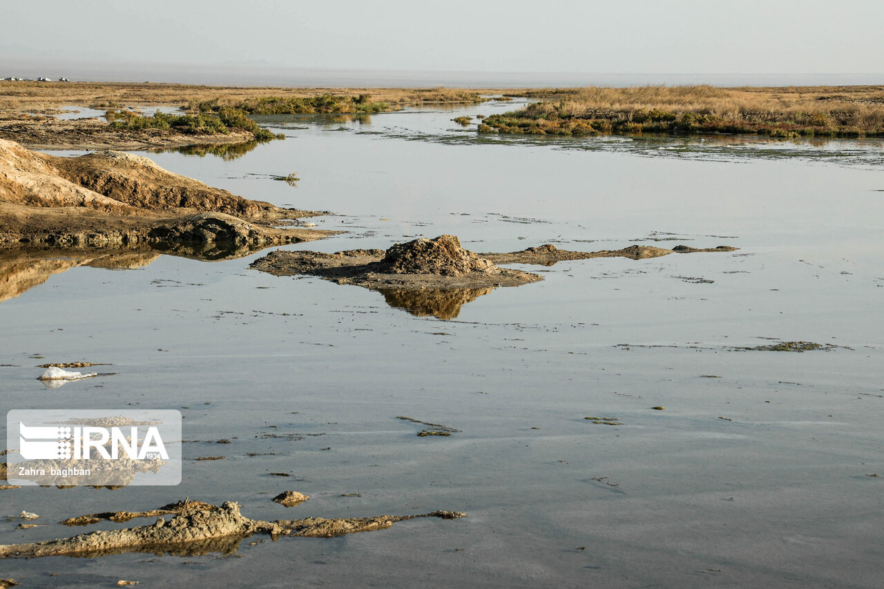 توانمندسازی جوامع محلی در گرو حفاظت از تالابها