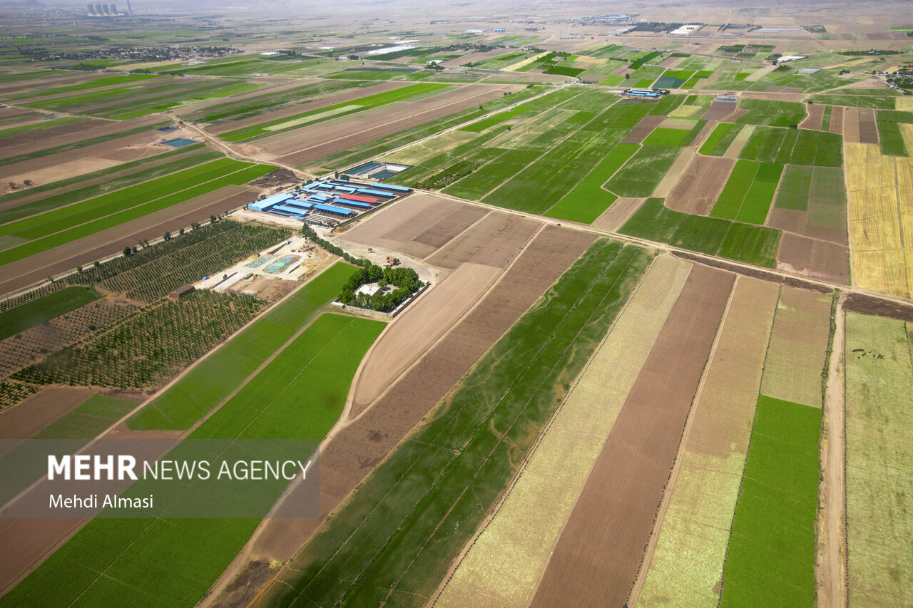 تورک: از تغییر غیرمجاز کاربری ۴۵ هزار متر از اراضی زراعی جلوگیری شد