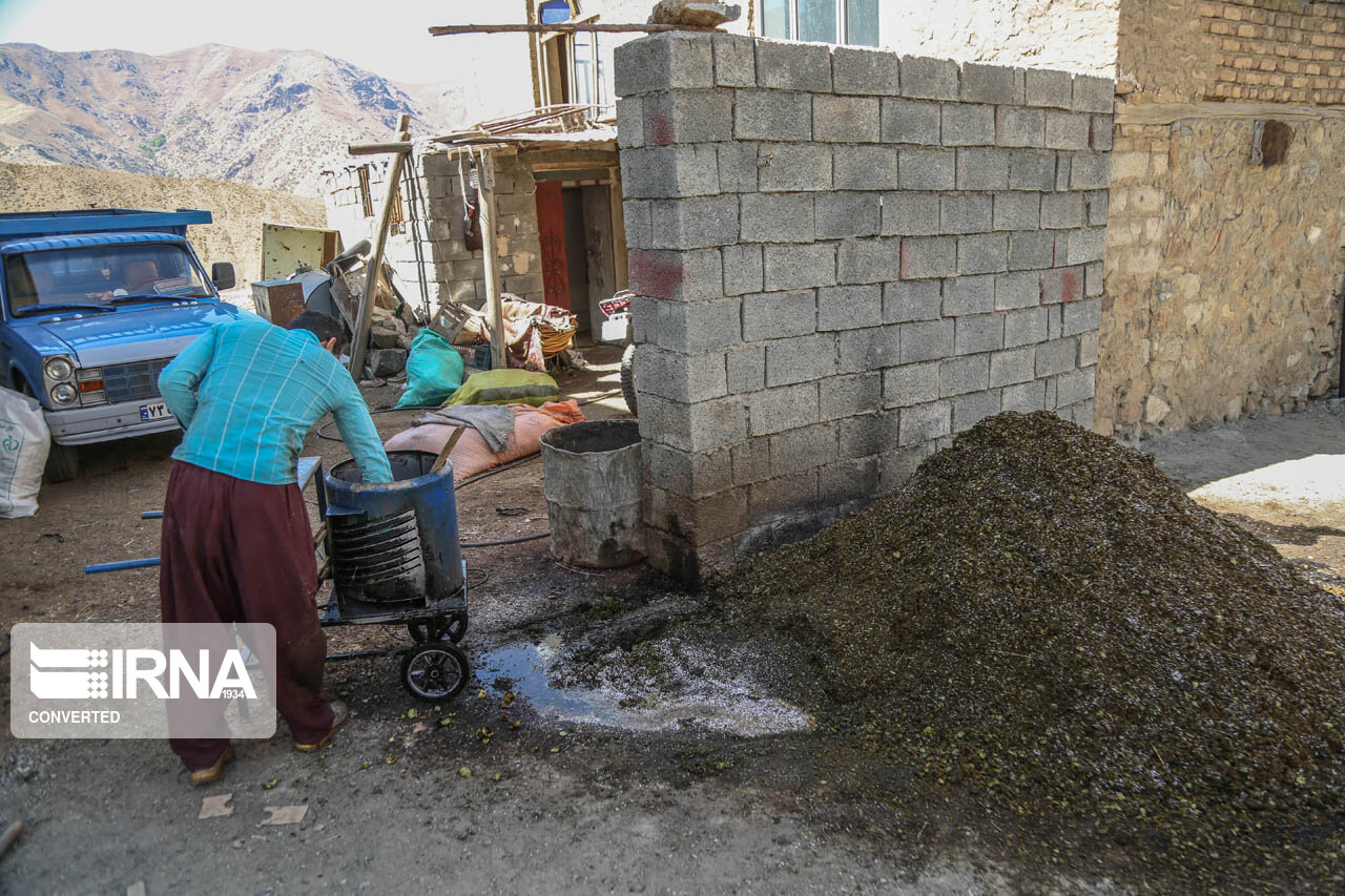 توسعه متوازن در روستاهای کردستان باید تحقق یابد