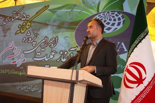 توسعه کشت گلخانهای در شرایط فعلی یک ضرورت راهبردی است