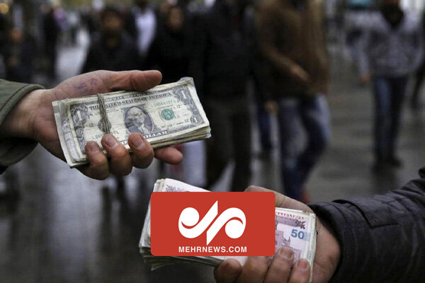 توضیحات سخنگوی قوه قضاییه از پرونده اخلالگران بازار ارزفردایی