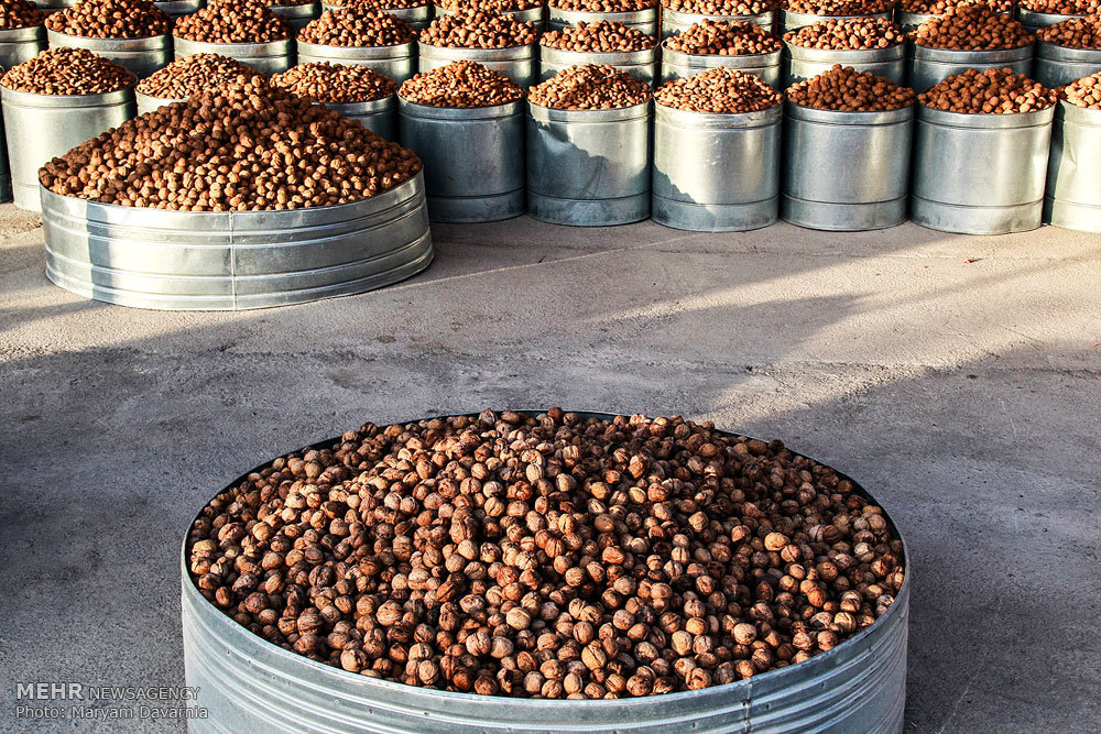 توقف محموله ۱۰ تنی خشکبار به ارزش ۲۵ میلیارد در جنوبتهران