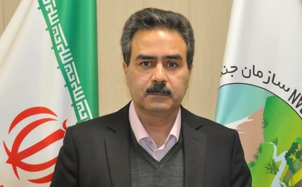 تولید سالانه حدود یک میلیون تن علوفه از مراتع خراسانرضوی
