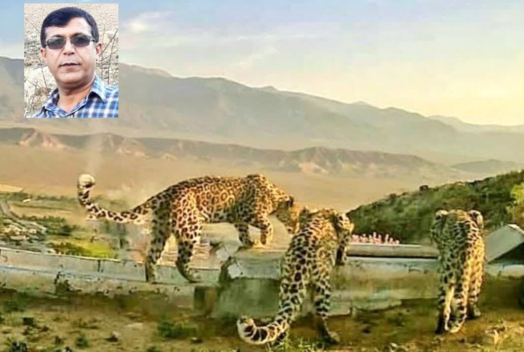 «تپال» در انتظار ارتقا به منطقه حفاظت شده است