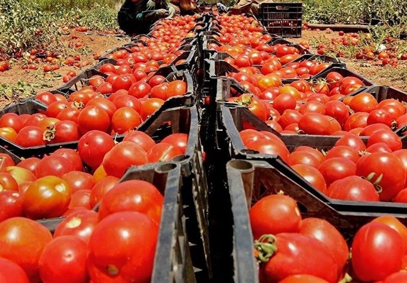تکمیل پایانه های صادراتی کردستان در انتظار همت مسئولان