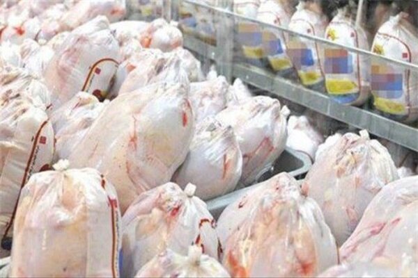 ثبت بیش از ۱۸ میلیون قطعه جوجهریزی در آذربایجان غربی
