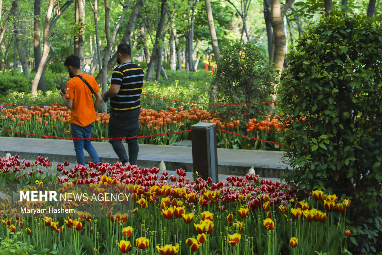 جاگذاری ۹۹ مخزن آب اضطراری در بوستانهای تهران