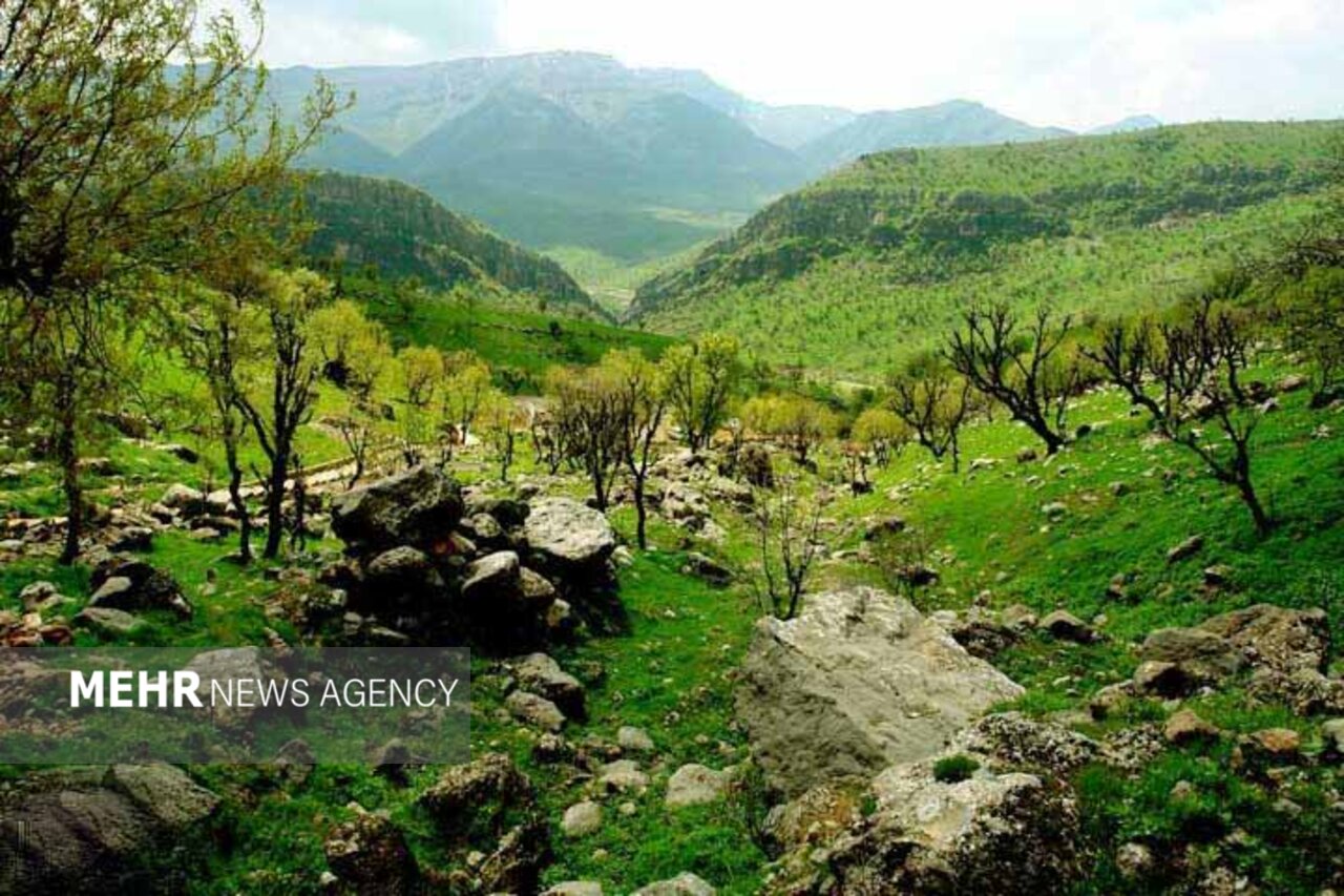 جزئیات یک مصوبه پرحاشیه/ تغییر مدیریت منطقه دنا مسکوت
است