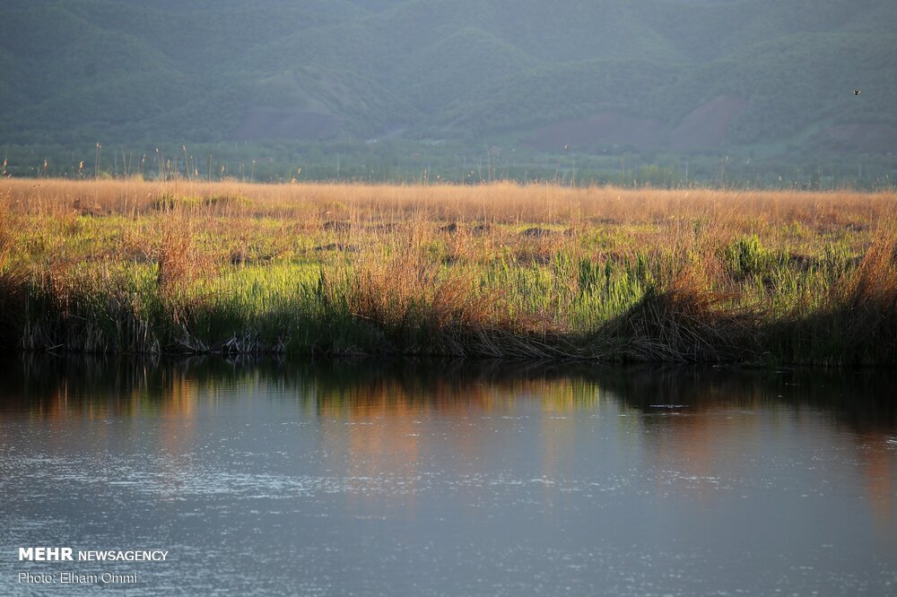 جسد جوان مریوانی پس از ۲۳ روز در دریاچه زریوار پیدا
شد