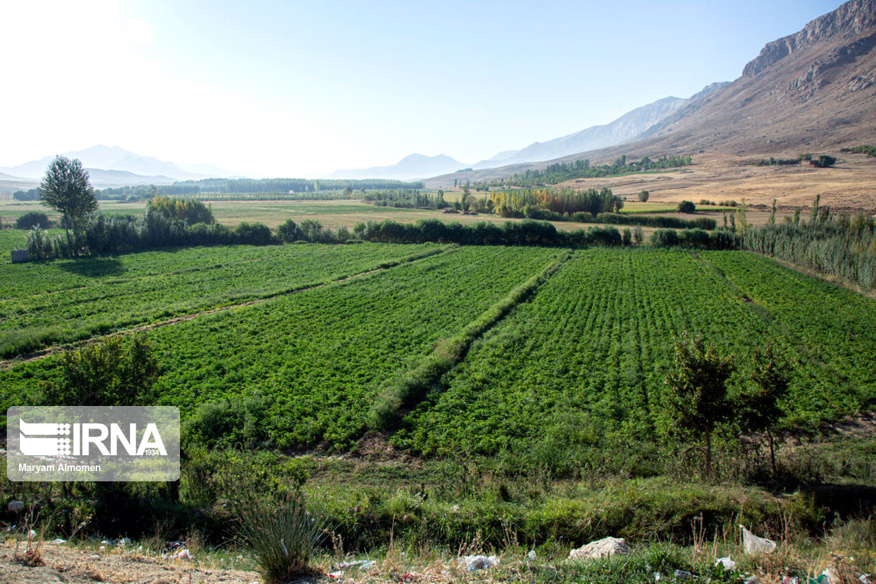 حدنگاری ۳ میلیون هکتار از اراضی زراعی در انتظار تعیین تکلیف جهاد کشاورزی