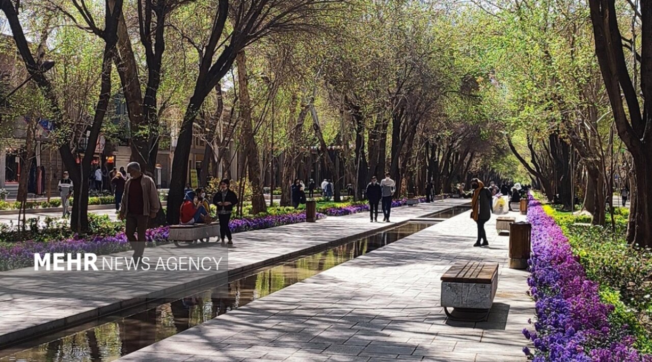 حذف آلودگی‌های بصری در ضلع غربی چهارباغ عباسی در دستور کاراست