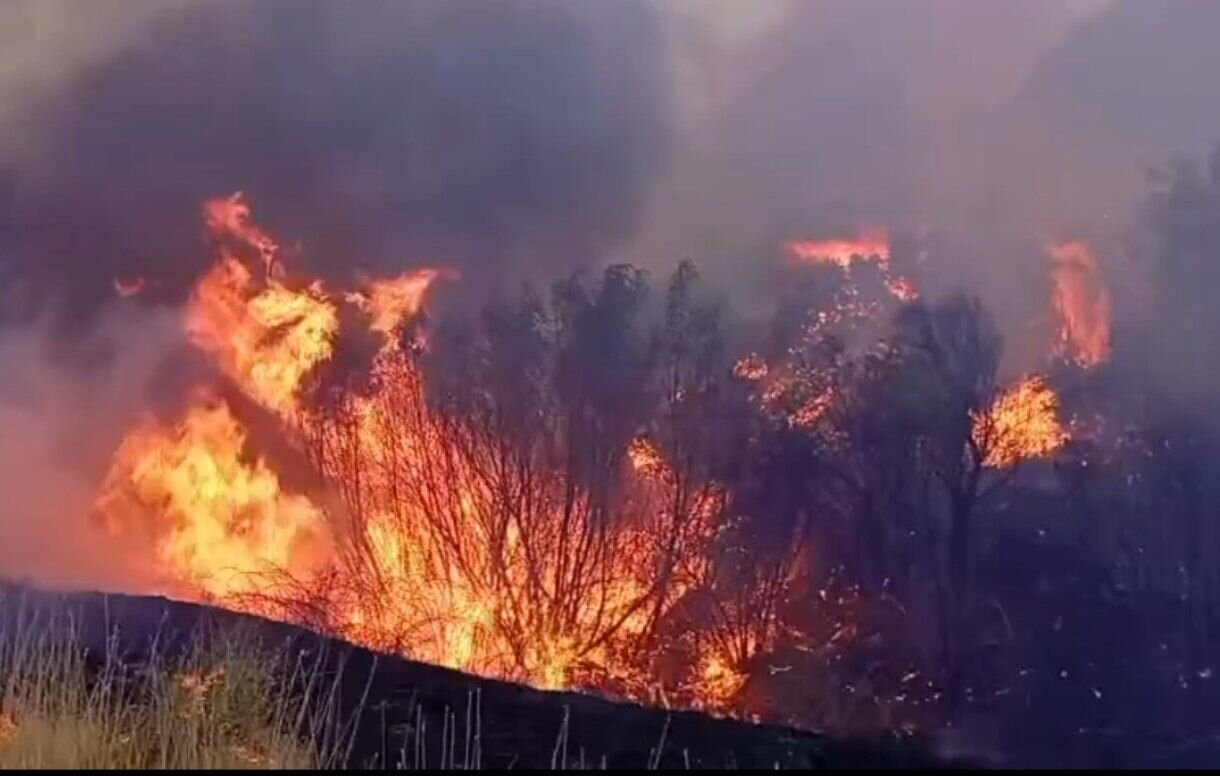 حریق گسترده در اراضی ککلیک‌آباد پس از ۷ ساعت مهار شد