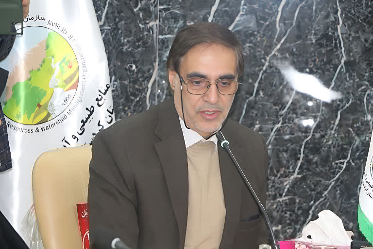 حسینی: بازخوانی کرامت زن در اندیشه اسلامی یک ضرورت فرهنگی است