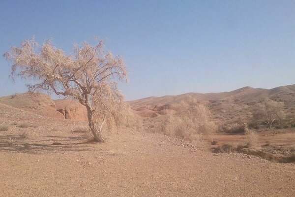 حضور تیم ۳۰ نفره کویر نوری در شاهرود/ ۴ کوهنورد مفقود هستند