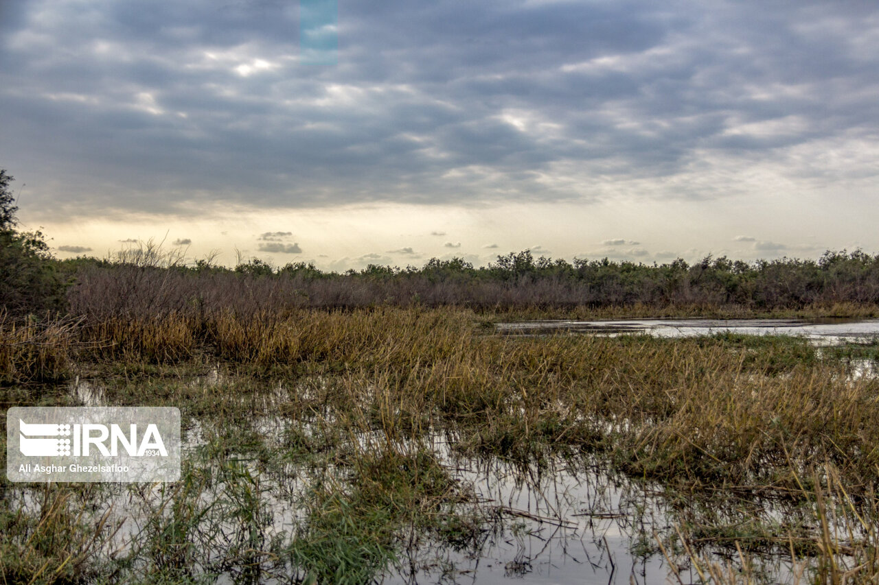 حقابه تالابها به درستی تامین نشده است