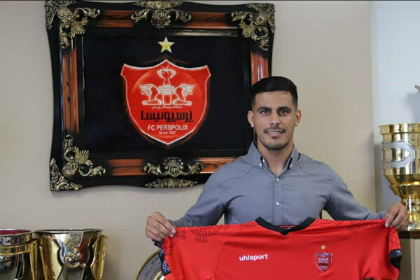 خانهام را فروختم تا پرسپولیسی شوم/گلمحمدی بهترین مربی ایران است
