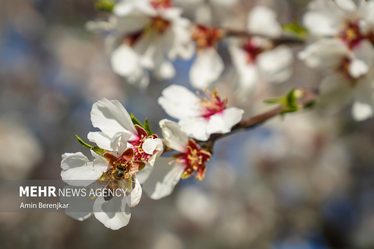خروج سامانه بارشی از آذربایجان غربی؛دمای هوا افزایش می یابد