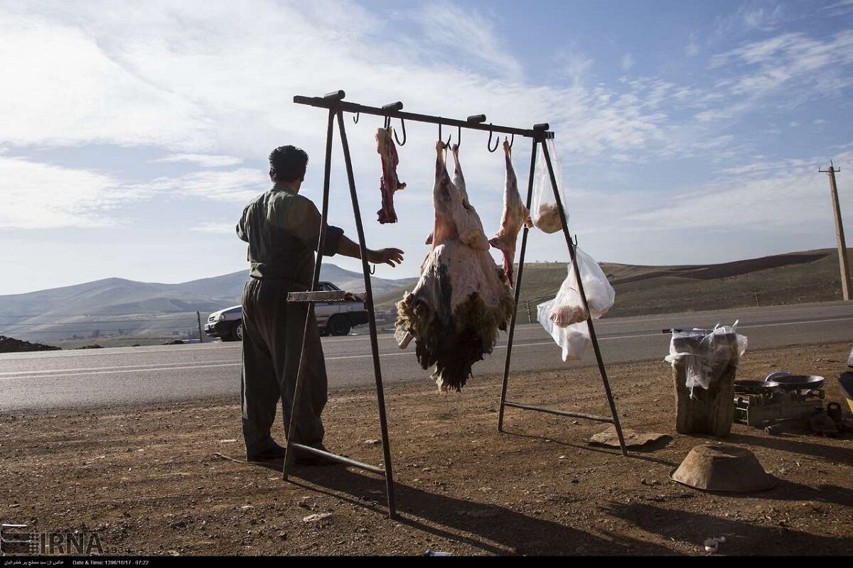 خرید از قصابیهای کنار جادهای سلامت شهروندان را تهدید میکند