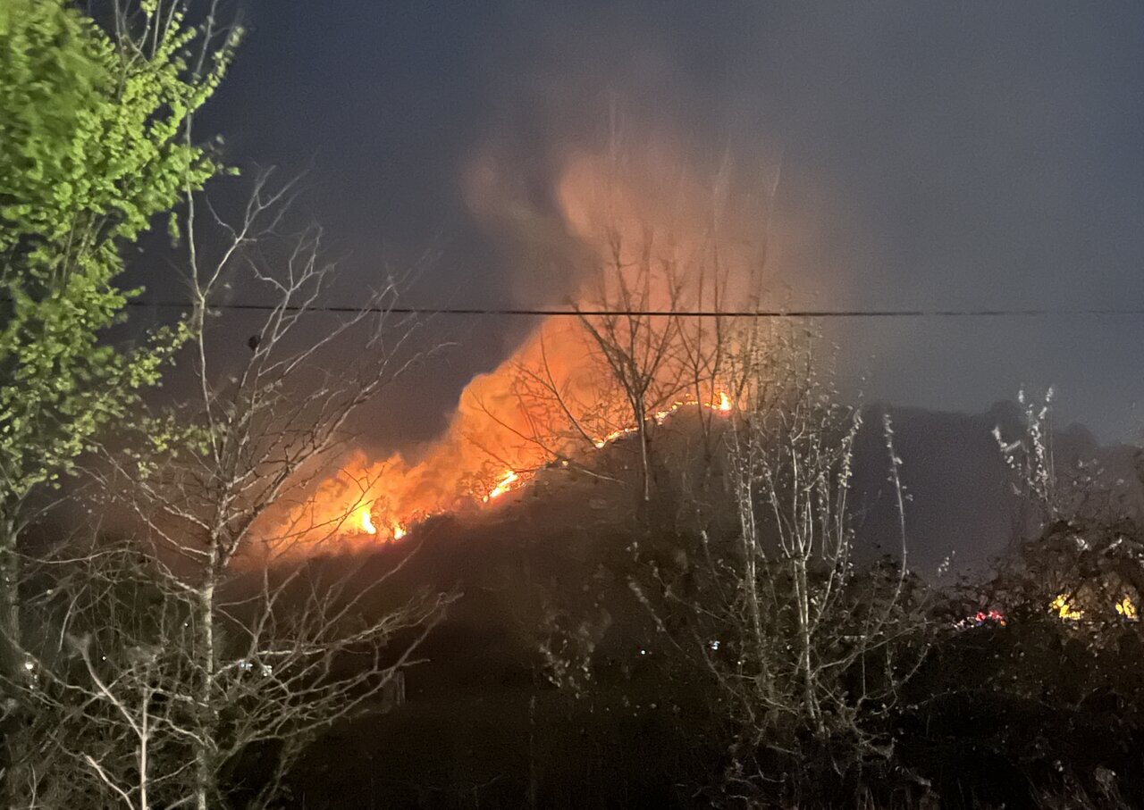 خسارت آتش‌سوزی در تالاب نوروزلو میاندوآب ۵۰ میلیارد ریال برآورد شد