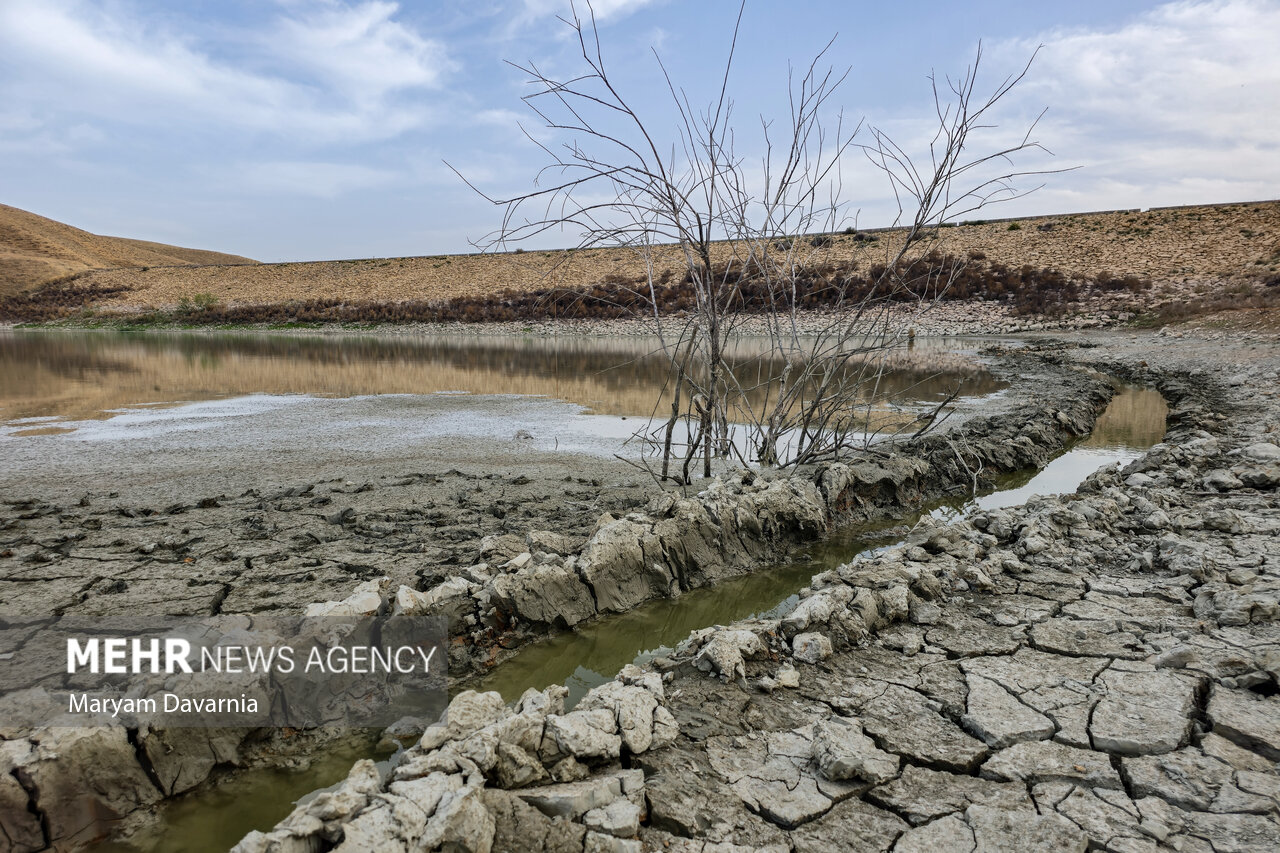 خشکسالی و تغییرات اقلیمی؛ تهدیدات جدی برای کشاورزی و زیست‌بوم کردستان