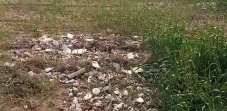 خطری به نام پسماند درمانی و خانگی در زمینهای کشاورزی گناوه