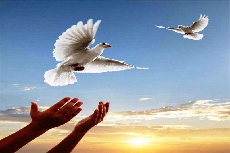 خیر سنندجی مسبب آزادی ۸۵ زندانی مالی شد