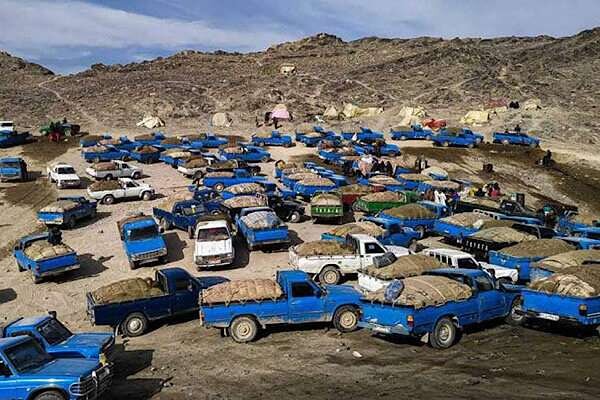دردسرهای مردم کرمان برای تأمین سوخت و بنزینی که قاچاق می‌شود