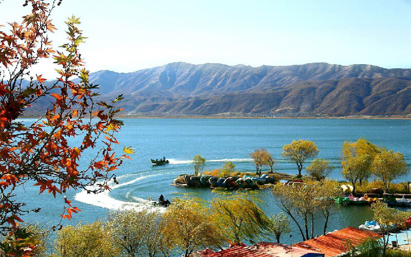 دریاچه زریوار مریوان بهشت پرندگان با ۵۲ درصد تنوع زیستی کشور