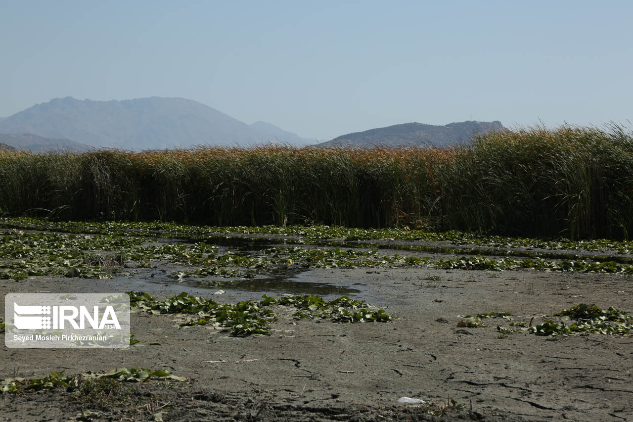 دستگاهها به وظیفه خود در برنامه جامع زریبار مریوان عمل نکردند