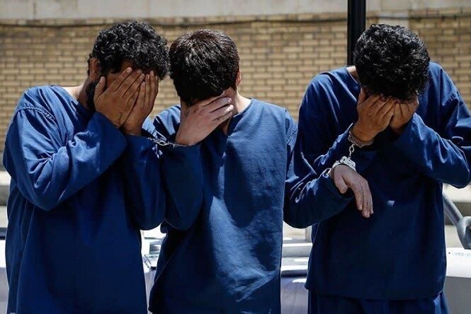 دستگیری سارقان حرفه ای در شهرستان های سقز، بیجار وکامیاران