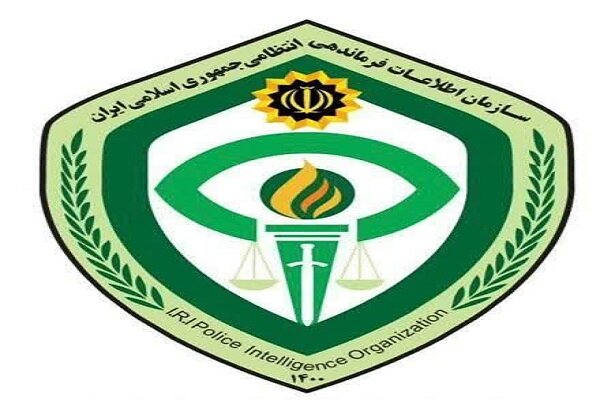 دستگیری عامل اصلی ارتباط با شبکه‌های معاند وایجاد ناامنی درفارس