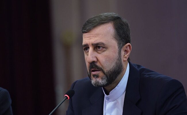 دشمنان می‌خواهند صدای حامی فلسطینیان در سازمان ملل را خاموش کنند