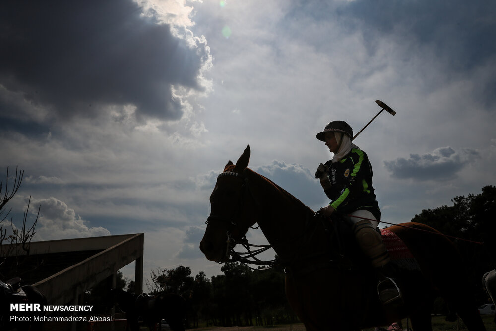 دهخدایی: بازیکنان خارجی خودشان خواستار حضور در لیگ چوگان ایران هستند