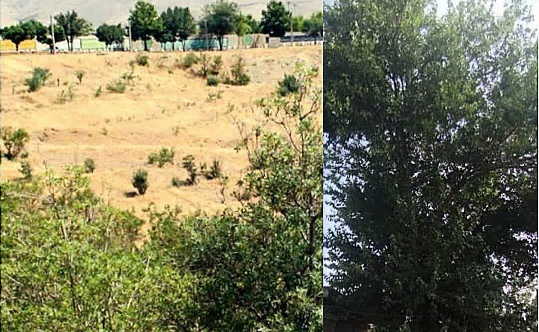 دو اثر طبیعی استان کردستان در فهرست میراثطبیعی ملی کشور ثبت شد