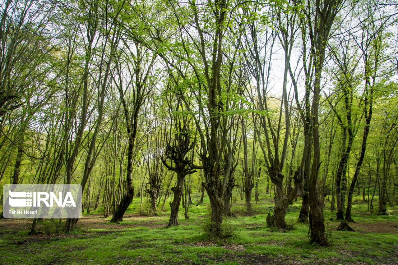 دولت به طرحهای دارای پیوست زیست محیطی اعتبار اختصاص میدهد