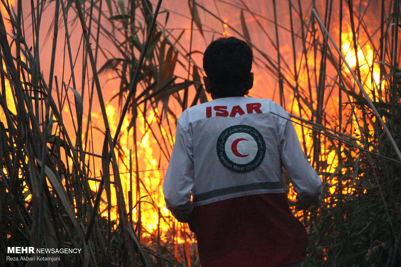 دومین روز آتش سوزی در نیزارهای تالاب انزلی