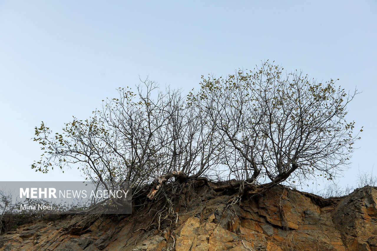 دگردیسی یک شکارچی به محافظ طبیعت