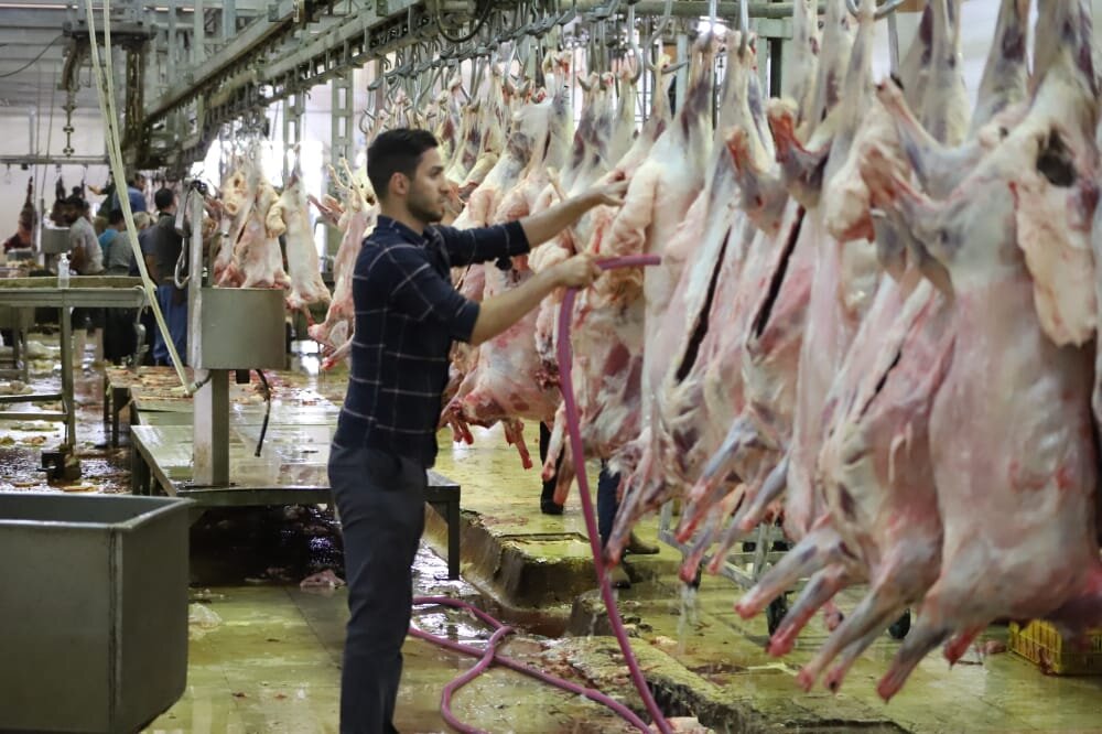 ذبح شرعی گوسفند قربانی نیکوکاران در ۱۶ مرکز + آدرس مراکز