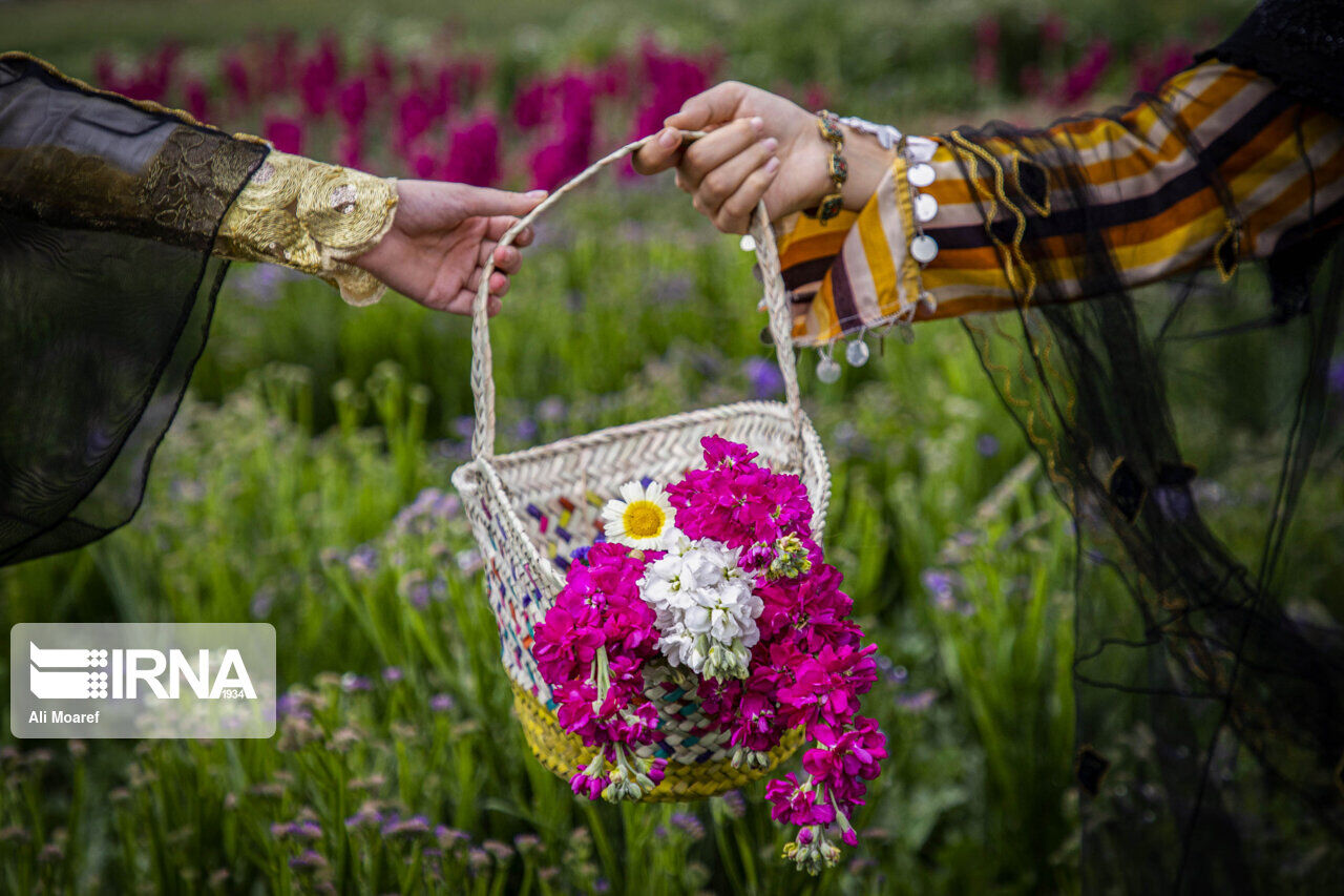 راه اندازی کاروان گل در پایتخت