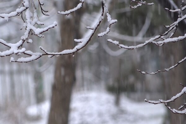 رستگاری: میانگین بارشهای آبان ماه در آذربایجان غربی به۵۴.۸میلیمتر رسید