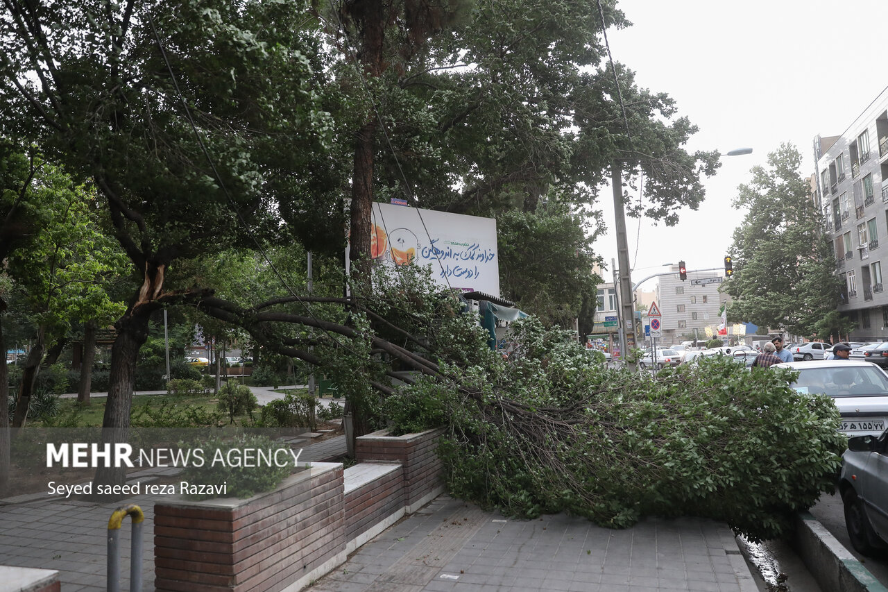 رشد ابر و افزایش سرعت وزش باد پدیده چند روز آینده خواهدبود