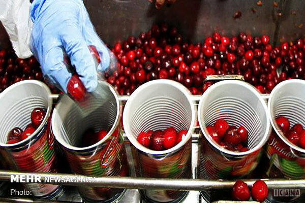 رشد صنایع تبدیلی در کردستان؛ جهش در فرآوری محصولات کشاورزی