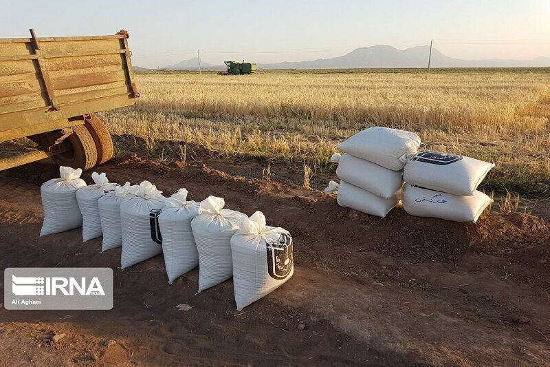 رشد ۲۴ درصدی جمعآوری زکات در خراسان جنوبی