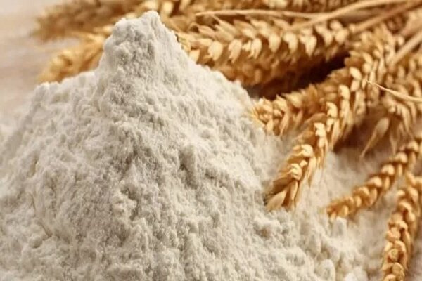 روایت پیشرفت؛ آذربایجان غربی پیشتاز در تولید گندم کشور