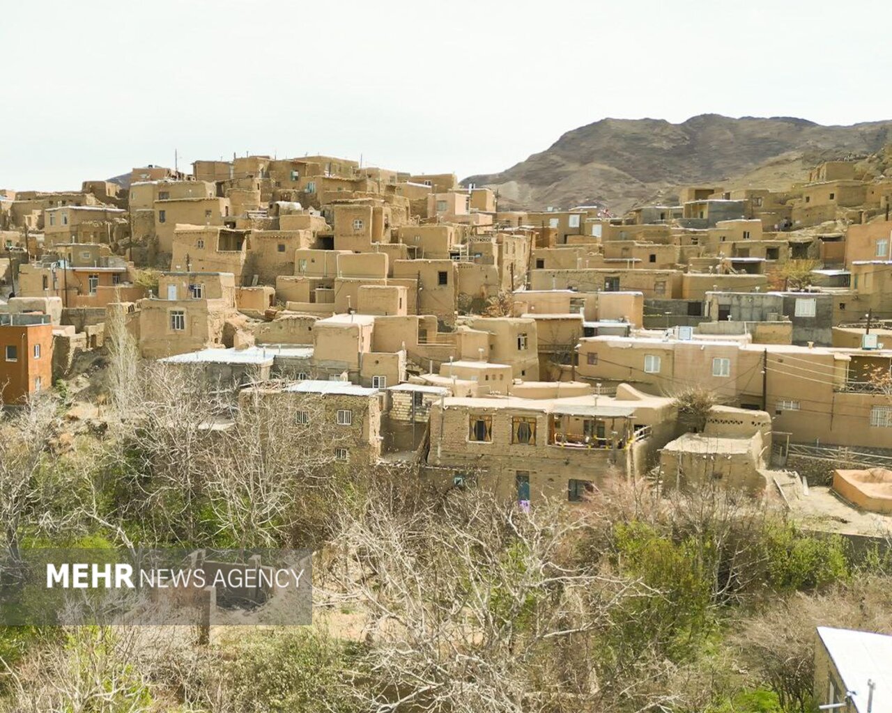 روستای «قلعه‌بالا» بهترین پایگاه آموزشی برای نجات یوزپلنگ آسیایی