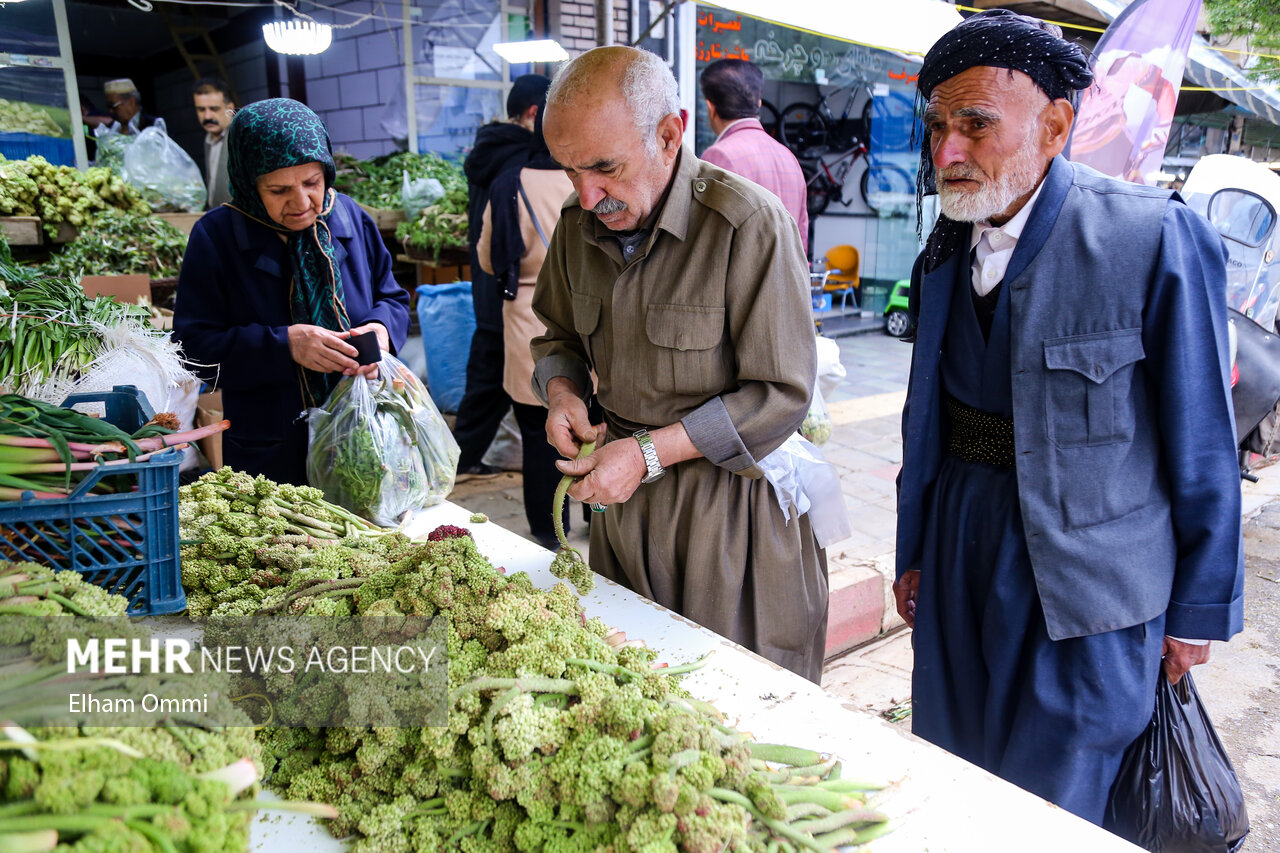 رونق بازار فروش گیاهان بهاری در سنندج